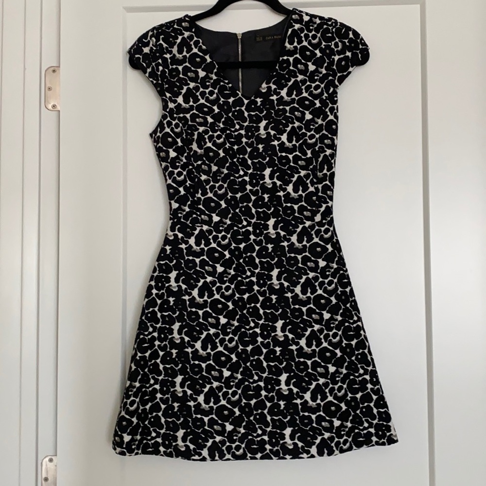 Zara dress